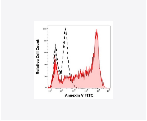 Flow cytometry histogram of Annexin Fitc staining