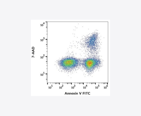 4 Quadrant plot of cells expressing 7-AAD and Annexin