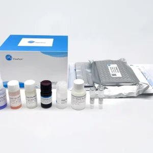 elisa kit components consisting of small plastic bottles of clear and brown colors, behind these are the box that everything comes in