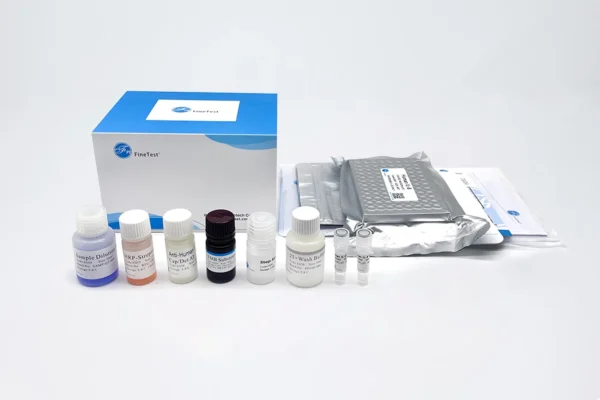 elisa kit components consisting of small plastic bottles of clear and brown colors, behind these are the box that everything comes in