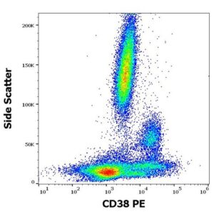 flow cytometry scatter plot of pbmc's. CD38 on x-axis vs side scatter on y-axis